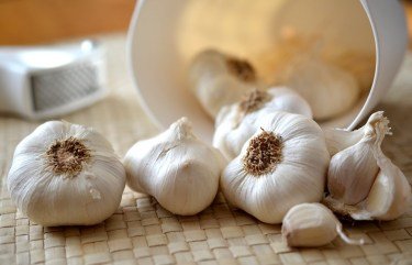 garlic juice