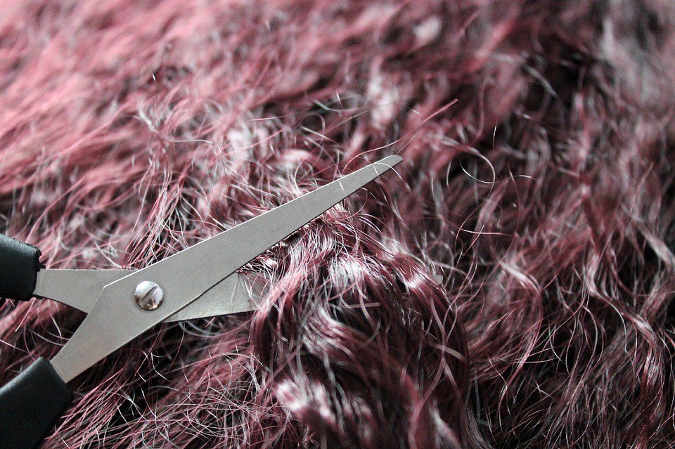 How to Cut Curly Hair