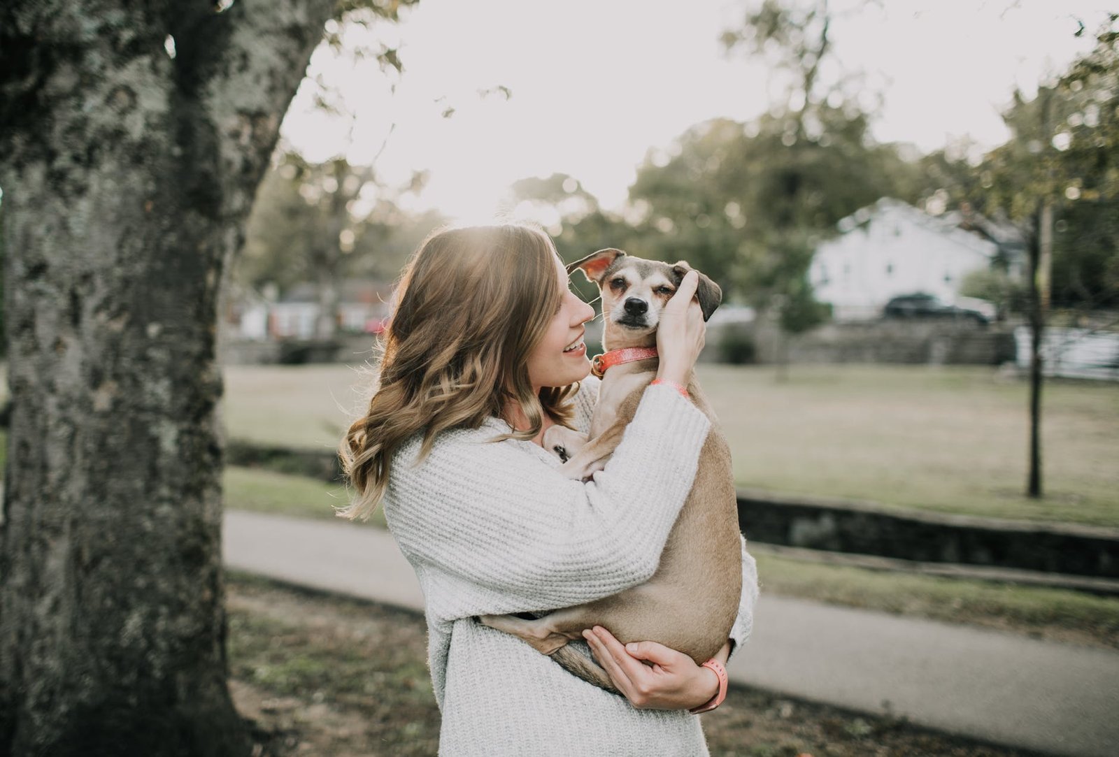 hire a pet sitter